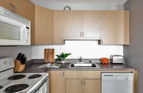 South Loop Condominio | MICH AVE #23 2bd/2ba Downtown, Museums w/ Views