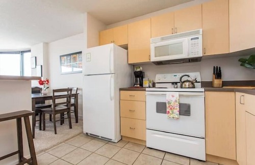 South Loop Condominio | MICH AVE #23 2bd/2ba Downtown, Museums w/ Views