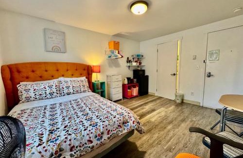 University District Apartamento | Micro Studio Apartment in University District- 10 mins walk to University of WA