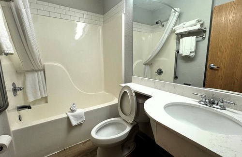 Albertville Hotel | Microtel Inn & Suites by Wyndham Albertville