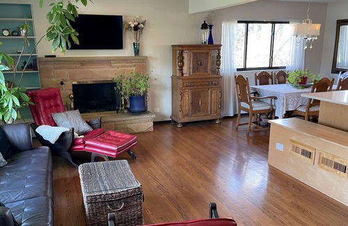 Downers Grove Casa | Mid Century Modern close to Downtown