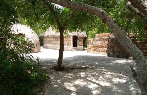 Watamu Cama Y Desayuno | Mida Creek Eco Camp - lodge