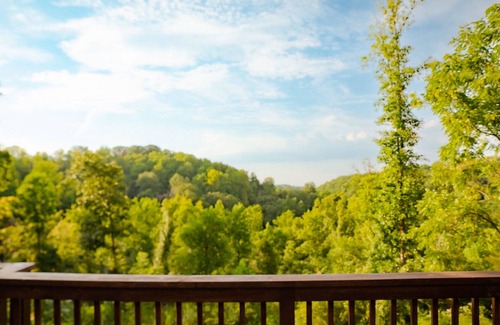 Pegram Cabina | Midcentury Modern View Cabin Near Nashville