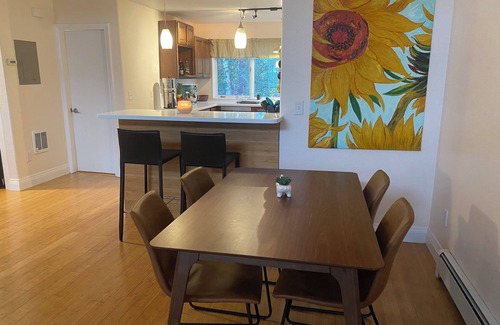 North Star Apartamento | Midnight Sun Corporate Loft - near downtown + trails with lots of light!