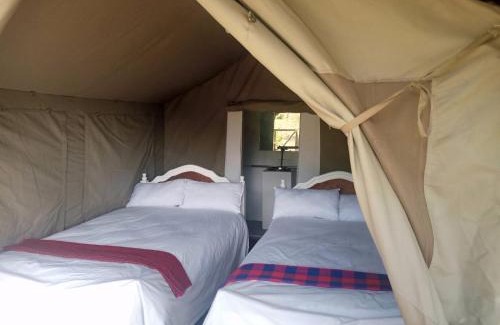 Maasai Mara Otro | Midori mara hill safari camp