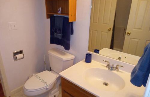 Kingsport Apartamento | Midtown Kingsport Townhouse
