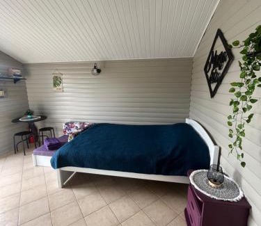 Igums Casa | Miera osta