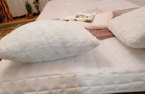 gmina Łapy Apartamento | Mieszkanie nad rzeką Narew w Łapach