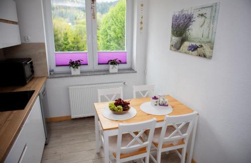 Wegierska Gorka Apartamento | Mieszkanie Węgierska Górka