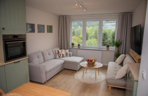 Wegierska Gorka Apartamento | Mieszkanie Węgierska Górka