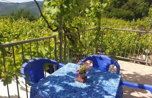Kaluđerac Apartamento | Mijailovic apartmani