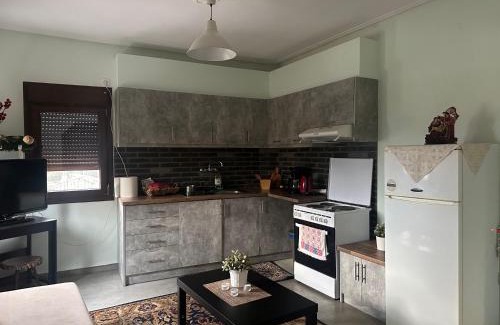 Kastraki Apartamento | Mikio Guest House