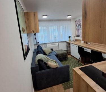 Legnica Apartamento | Mikrokawalerka w ścisłym centrum