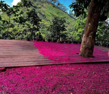 La Paz Otro | Milagros Glamping