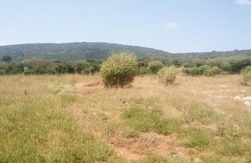 Ololaimutiek Cama Y Desayuno | Miliki Maasai Mara