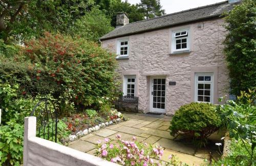 Fishguard Casa | Milkwood Cottage