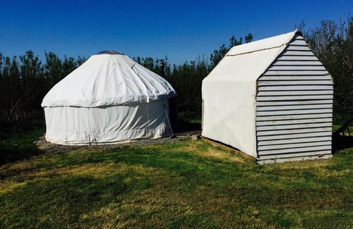 St Brides Otro | Mill Haven Place Glamping-yurt 1