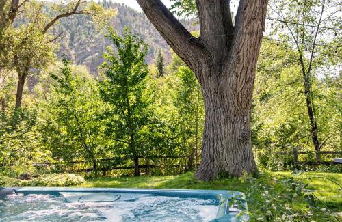Glenwood Springs Casa | Million Dollar Creekside Treehouse Hottub Rafting Hiking Fishing and Mins to Glenwood and Hotsprings