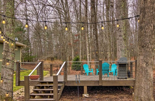 Mills River Apartamento | Mills River Retreat Near Hiking & Breweries!