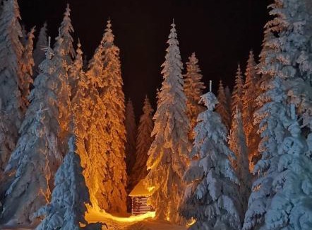 Lisina Apartamento | Milmari S70 Kopaonik