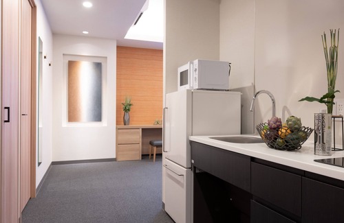Kaminarimon Apartamento | Mimaru Tokyo Asakusa Station