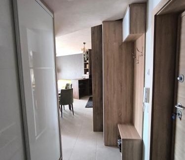 Paracin Apartamento | Mina Lux
