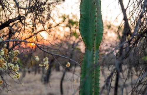 Hammanskraal Cabina | Minara Private Boutique Game Lodge