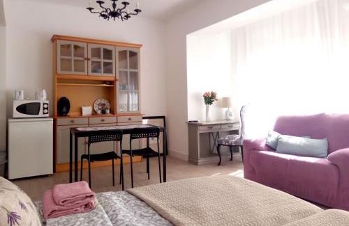 Pla del Bon Repós Apartamento | Mini-apartment Donna Rosa D'Alvadorez