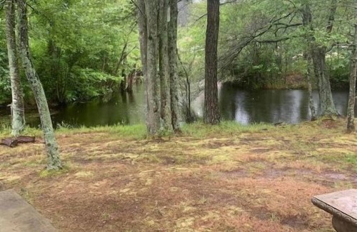 Allen Cabina | Mini Cabin 7 Near Ocean City & Assateague
