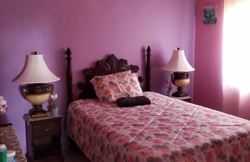 New Hope Casa | Mini Cozy Lodging