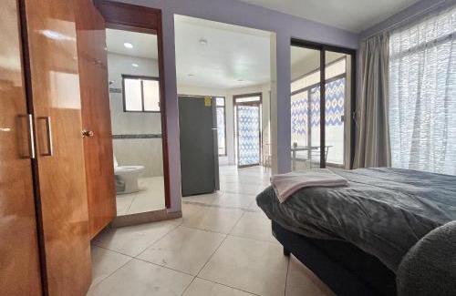 Zona Rosa de la Ciudad de México Apartamento | Mini loft en reforma