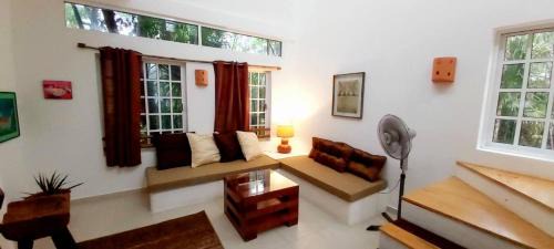 Cozumel Casa | Mini Pini Birdwatching and cenote loft4 you only