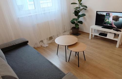Zory Apartamento | minimalistic