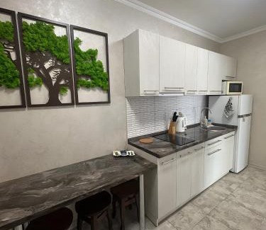 Polyana Apartamento | Mint Apartment Солнечное Закарпатье