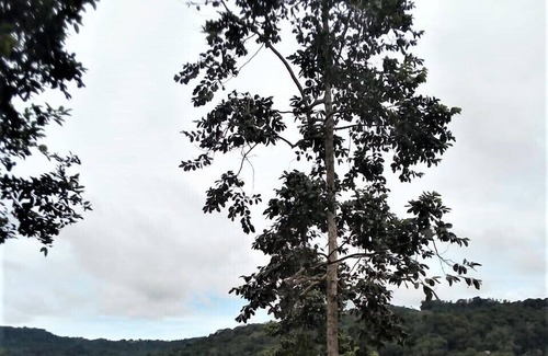 Santo Antonio Alquiler De RV | MIP Wild Camping
