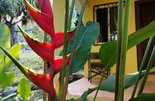 Pavones Hotel | Mira Olas Cabins
