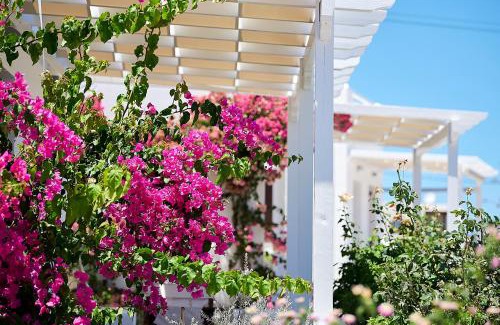 Apollonia Apartamento | Mirabeli Apartments & Suites