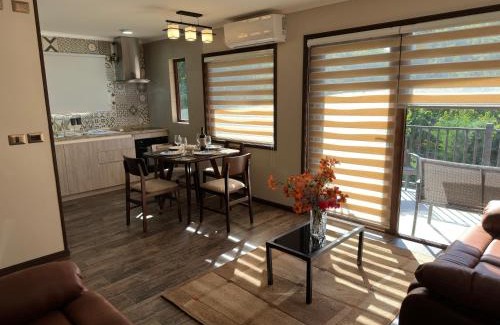 Osorno Apartamento | Mirabosque aparmet Ejecutivo 7