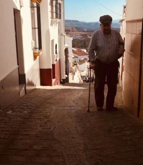 Olvera Casa | Mirador del Olivar