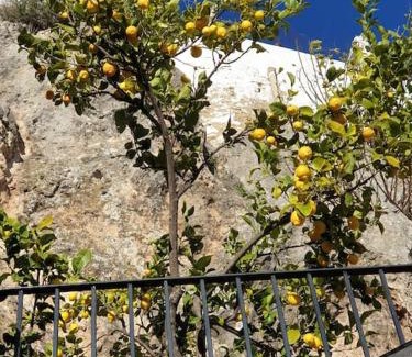 Olvera Casa | Mirador del Olivar