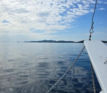 Dobropoljana Alquiler De Eote | Mirta Tours & Half a day of Waves and Wine