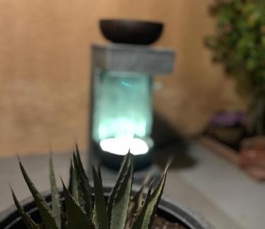 Roswell Casa | Mishu's Place