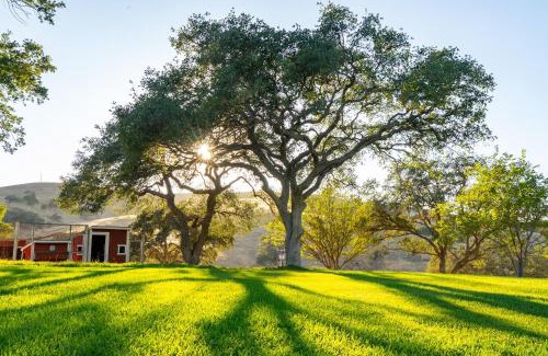 Paso Robles Casa | Mission de los Robles