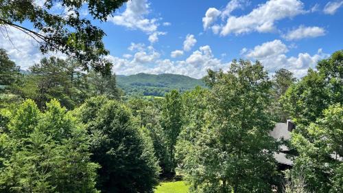 Murphy Casa | Mistletoe Cabin- Private cabin w views, Hottub, pet friendly