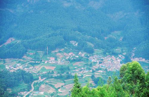 Vattavada Casa | Misty Mountains Holiday Homes