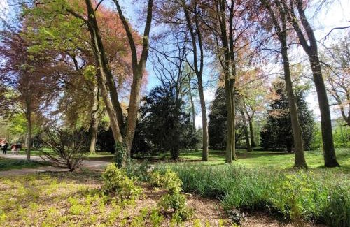 Warendorf Apartamento | Mit Blick in den Emsseepark