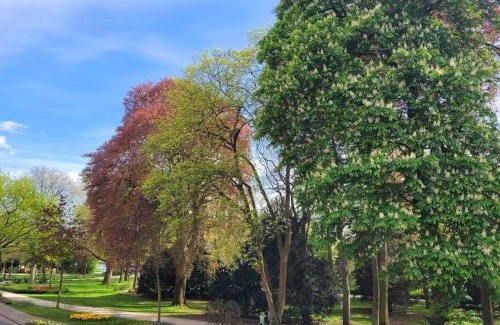 Warendorf Apartamento | Mit Blick in den Emsseepark