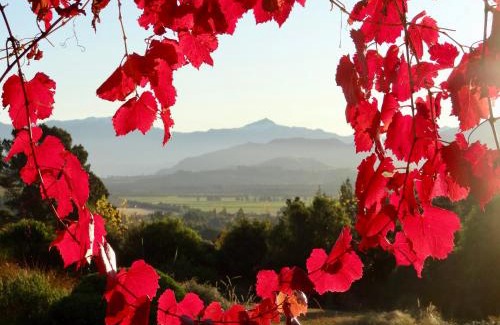Wanaka Apartamento | Mitchella Eco Stay