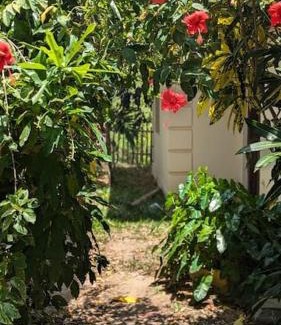 Kilifi Casa | Mkilifini-House