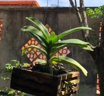 Ap Binh Chau Hotel | ML Homestay